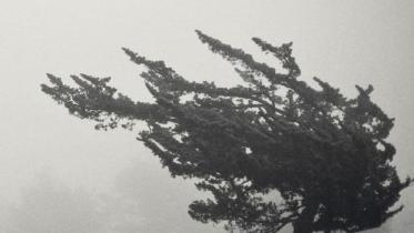 Wind of change.jpg