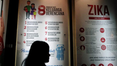 World Health Organization (WHO), Zika virus, Zika emergency