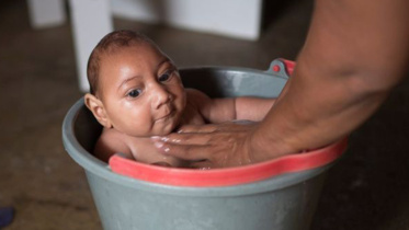 antibiotics, Zika virus, European scientists 