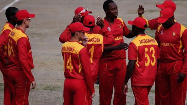 ZIM-BALL1.jpg-NS.jpg