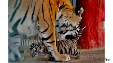 Zoo-(3).jpg