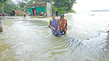 flooded area