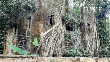 tangail.jpg