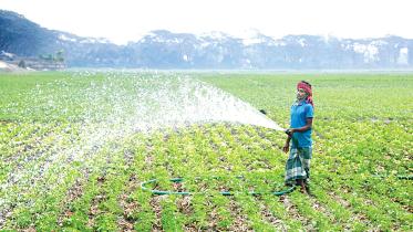 agriculture1.jpg