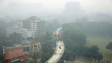 fog-envelops.jpg