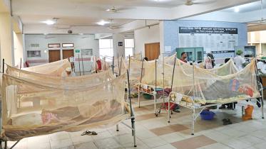 dengue.jpg