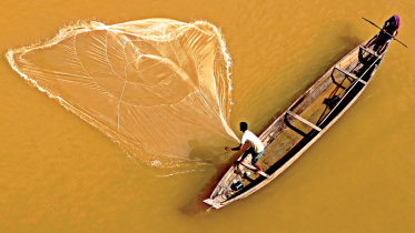 fisherman.jpg