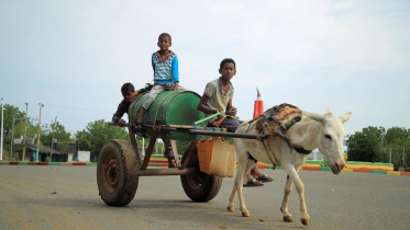 tigray.jpg