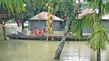 rangpur.jpg