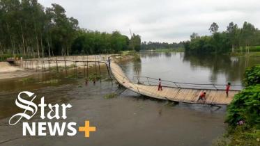 wooden_bridge_thumbnail_web.jpg