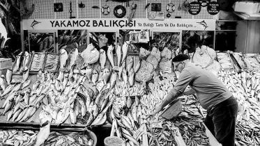 istanbul.jpg