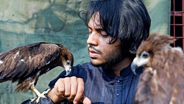 rafid-hoque-swad.jpg