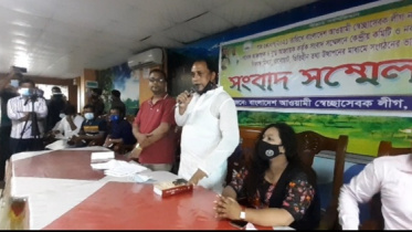 dollar_natore.jpg