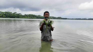 bagerhat_agriculture_pic_2.jpg