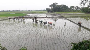 ropa-aman-farmers.jpg