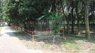 zoo2.jpg