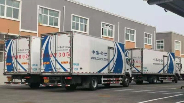 sino.jpg