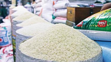 rice_0.jpg