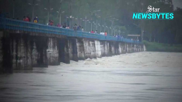 teesta-web.jpg