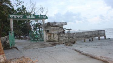 kuakata-natl-park-gone-sea.jpg