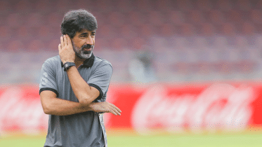 bruzon-afc.gif