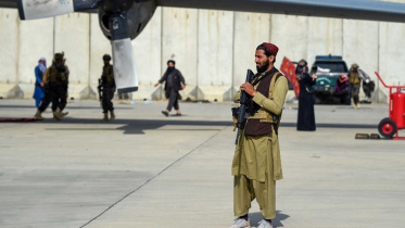 critical-afghan-freedom.jpg