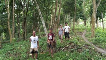 social-forestry-2.jpg