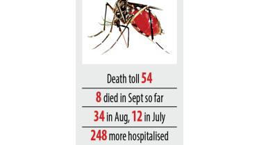 dengue.jpg