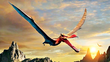 fly-dragon.jpg