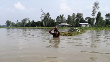 tackling-climate-emergency.jpg