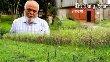 newsbytes_sugar_mill_pabna_sept_19_for_web.jpg