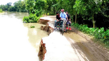 tangail.jpg