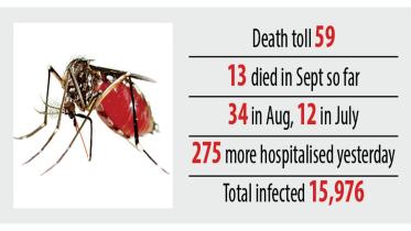 dengue.jpg