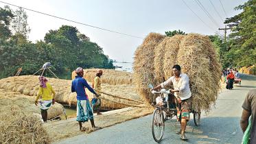 selonda-bazar.jpg