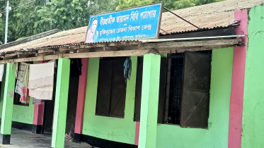taramon-bibi-pathagar.jpg