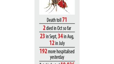 dengue.jpg