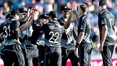nz-team.jpg