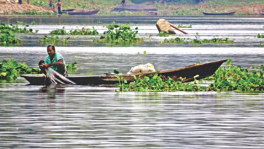 river, environment