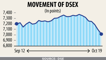 dse-1.jpg