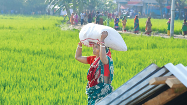 pirganj1.jpg