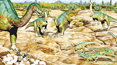dinosor.jpg