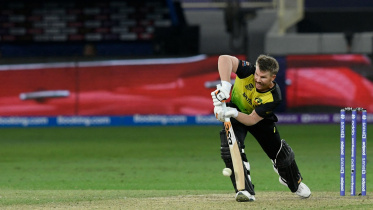 warner.jpg