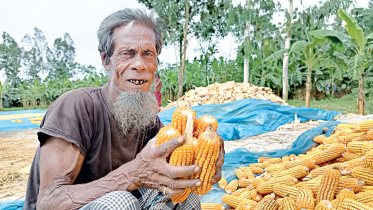 editorial_1_-_s_dilip_roy.jpg