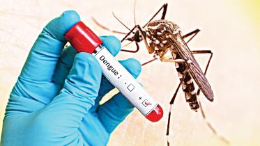 dengue.jpg