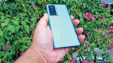 vivo1.jpg