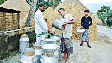successful-cooperatives.jpg