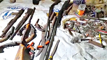firearms.jpg