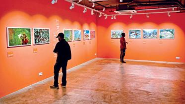 exhibition-1.jpg