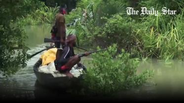 -sundarban.jpg