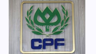 telenor-cp-group-discuss.jpg
